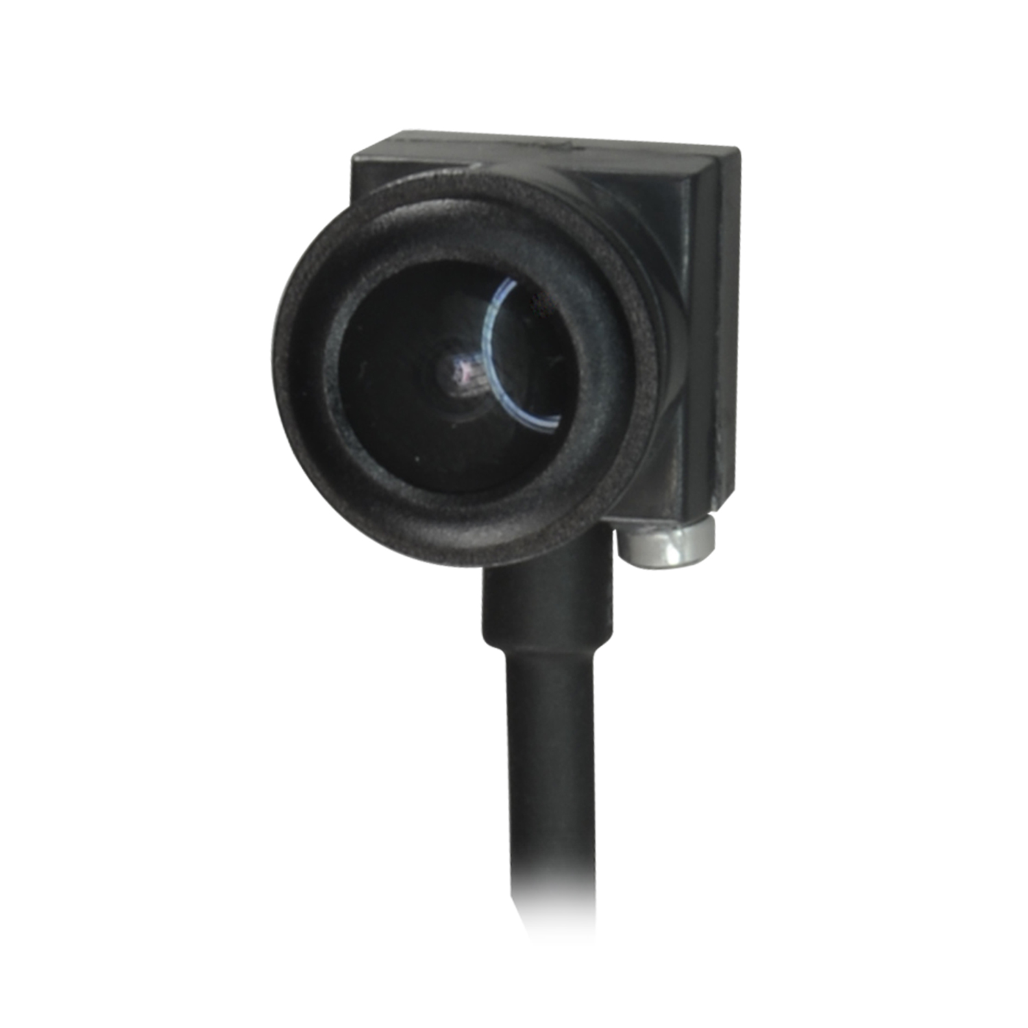 MC304D - Image 2
