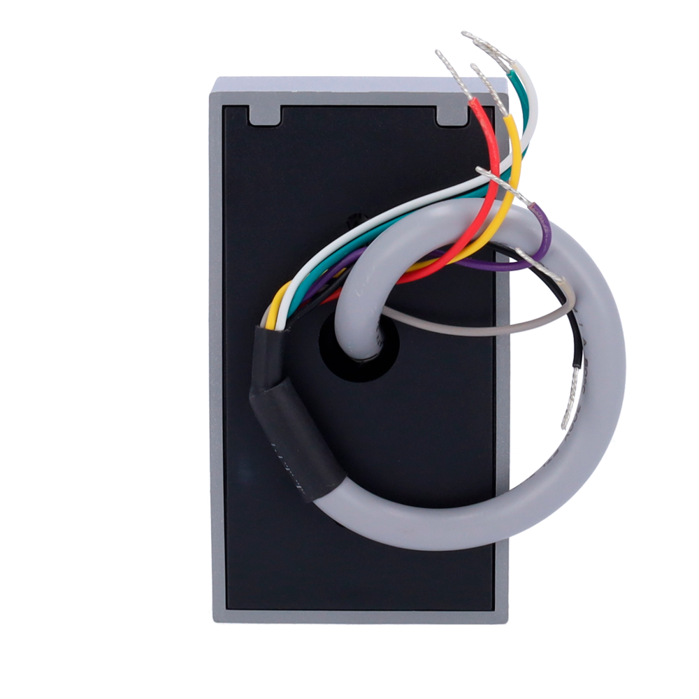ZK-PROID10-B-WG-2 - Image 6